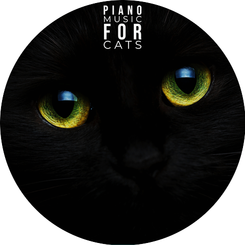 Music For Cats To Sleep To & Jingle Cats & Music for Dog's Ears