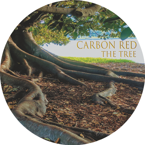 Carbon Red