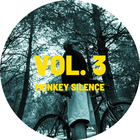 Fleyk One