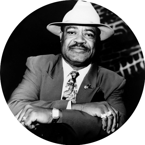 Blues Boy Willie