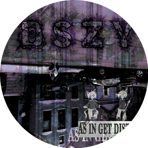 DSZY