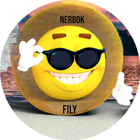 Nerbok