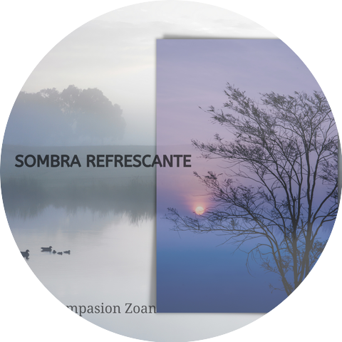Compasion Zoan