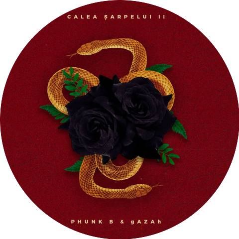 Phunk B and gAZAh