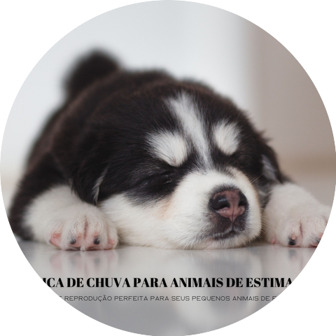 Música para dormir para cachorros