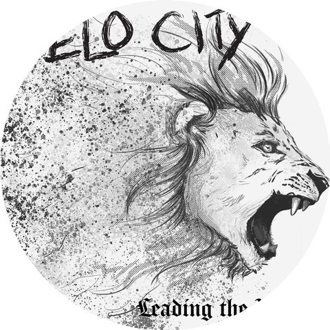 Velo City