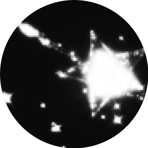 RXGHTYNX