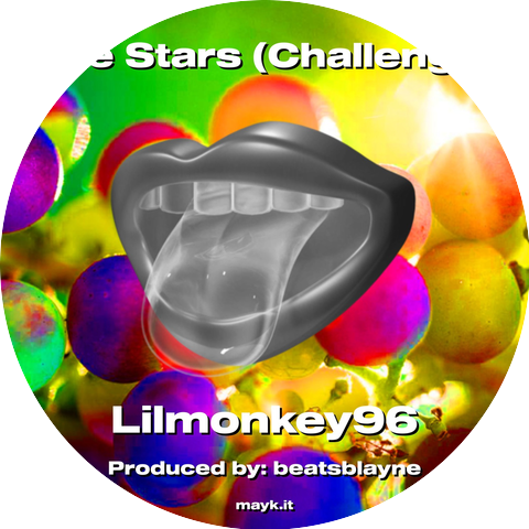 Lilmonkey96