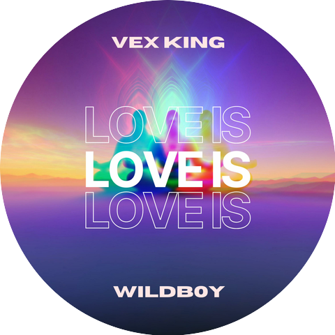 Vex King & Wildb0y