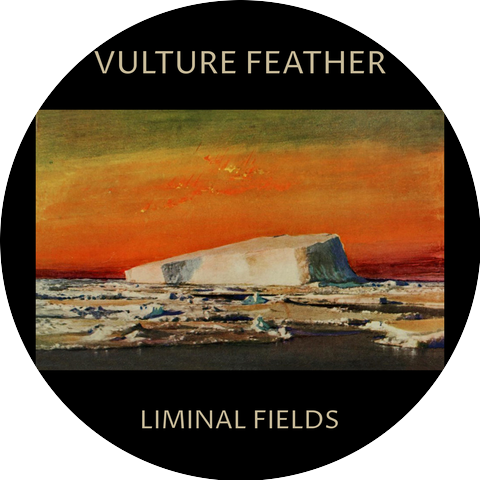 Vulture Feather