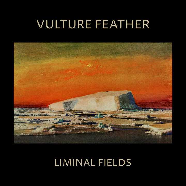 Vulture Feather