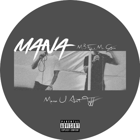 M3 FIJI