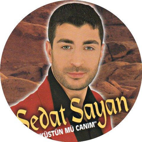 Sedat Sayan