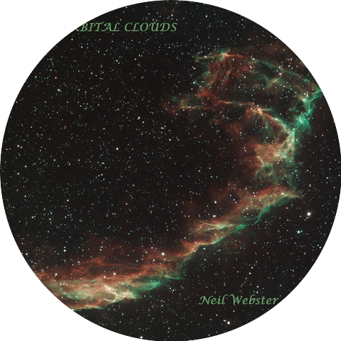 Neil Webster