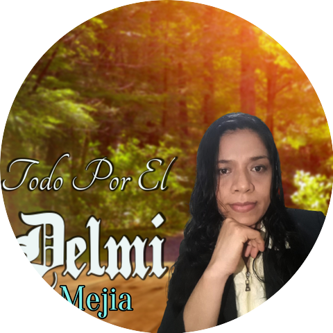 Delmi Mejia
