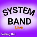 System Band