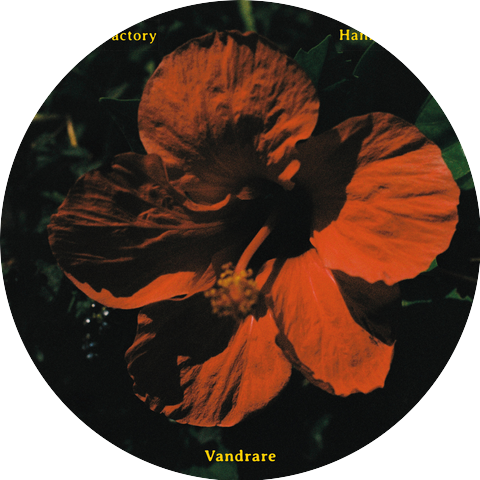 The Milk Factory & Hannah Tolf