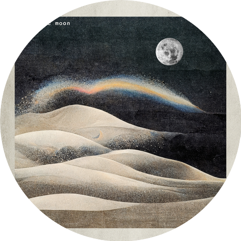 Magnetic Moon