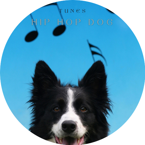 Hip Hop Dog