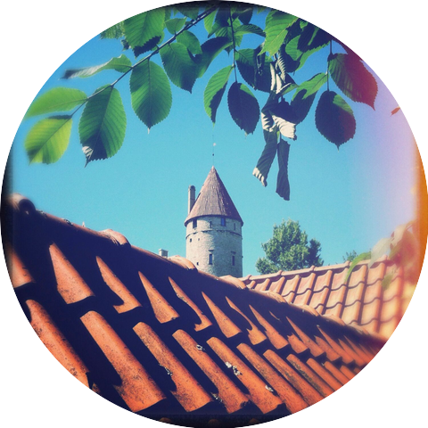 Raine Pumpkinglimmer