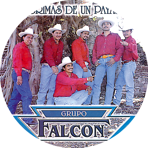 Grupo Falcon