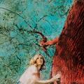 Tift Merritt