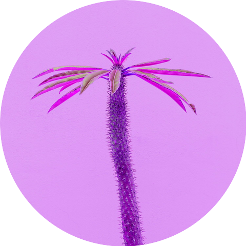 Toxic Flower