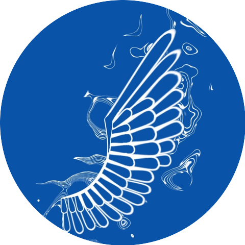 Rosa Morena & Elis Almeida