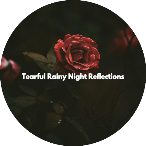 Jazz Rilassante Playlists