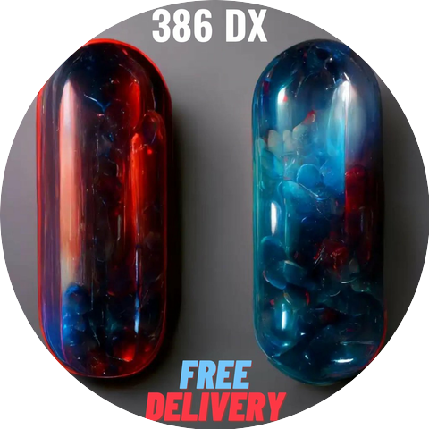 386 DX