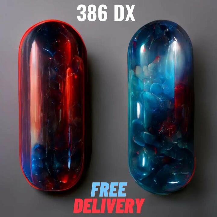 386 DX