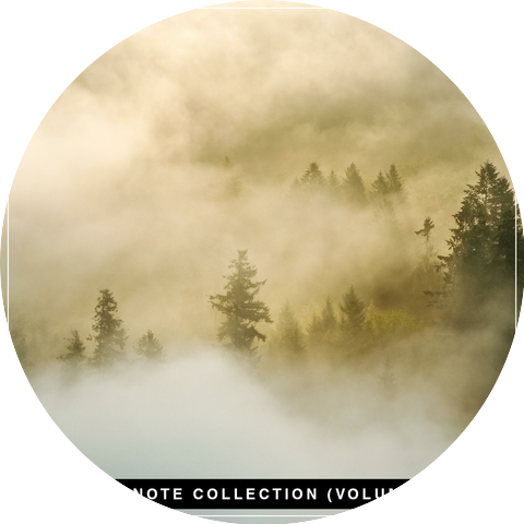 Ambient Backing Tracks