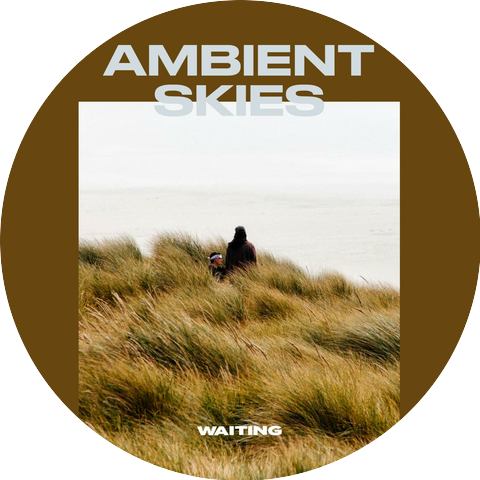 Ambient Skies