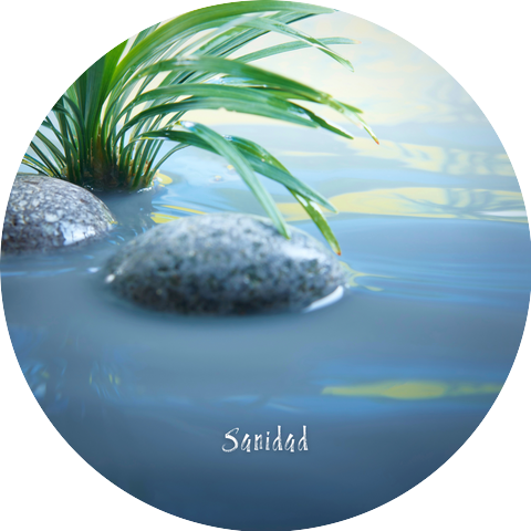 Árboles y Melodías