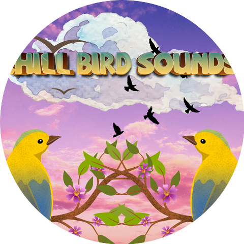 Chill Bird Sounds & Calming Bird Sounds For Sleeping & Calm Bird Sounds For Sleep