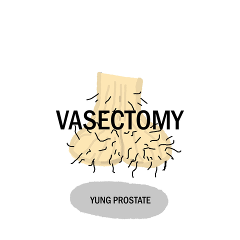 Yung Prostate