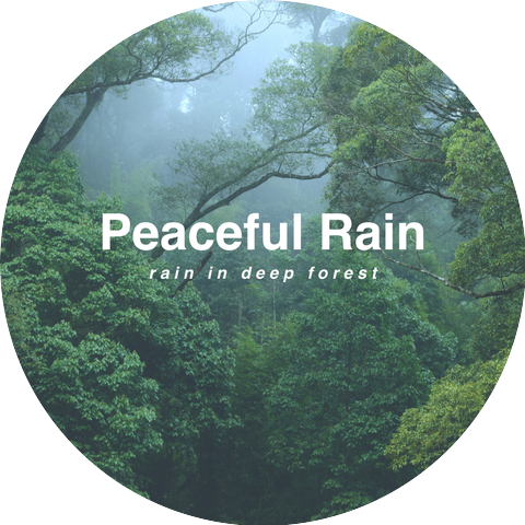 Peaceful Rain