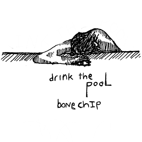 BoneChip