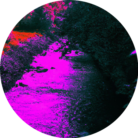 Archive 41
