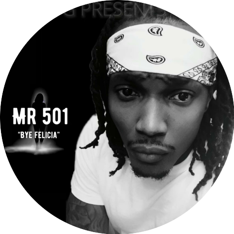 Mr.501