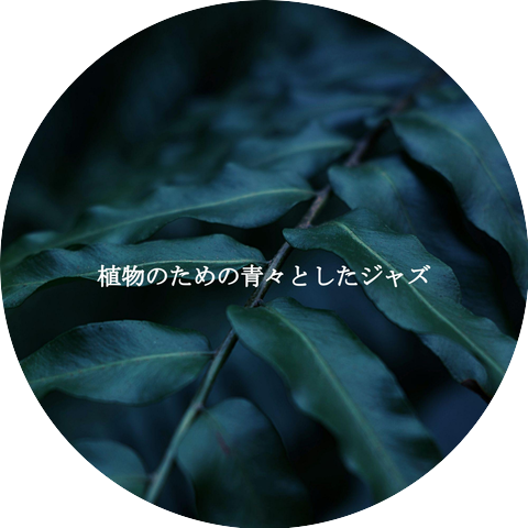 Music for Focus