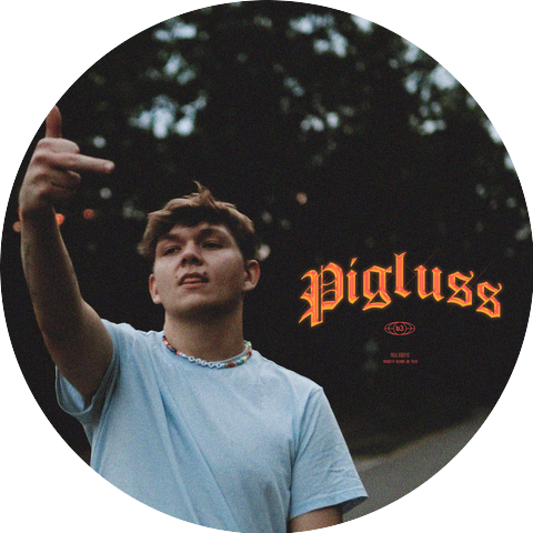 PIGLUSS