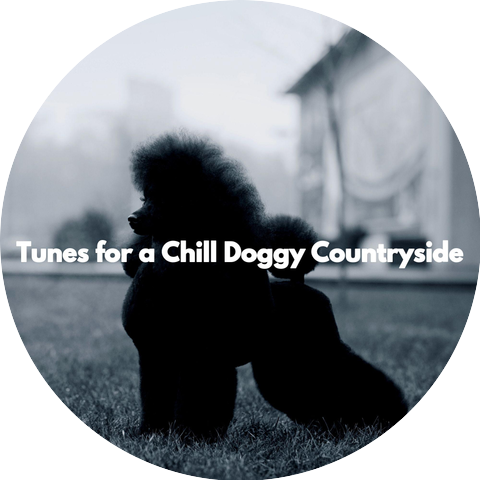 Calm Lounge Playlist