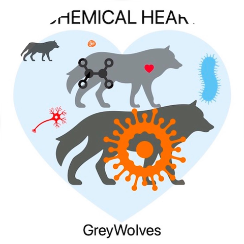 Greywolves