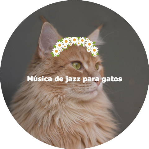 Evening Jazz Meditation