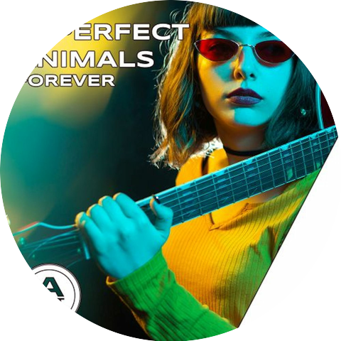 Imperfect Animals