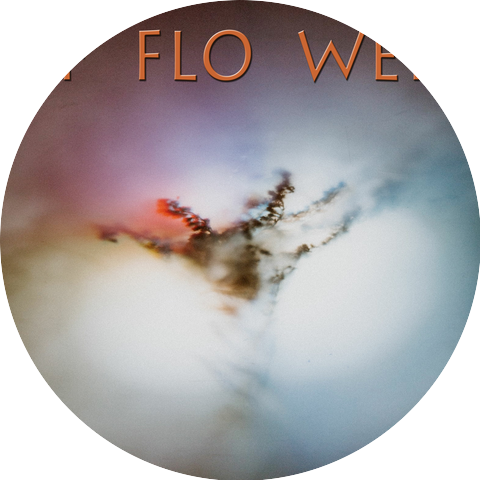 IF FLO WER
