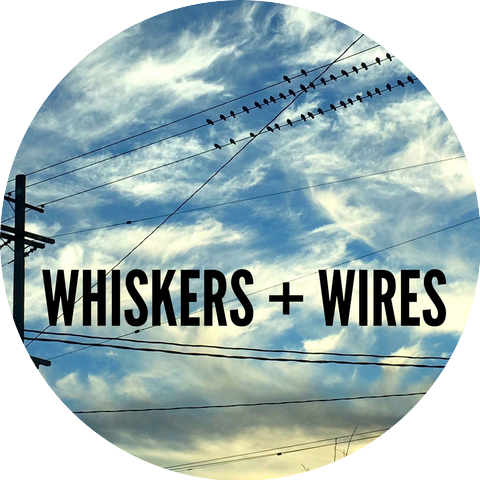 Whiskers and Wires