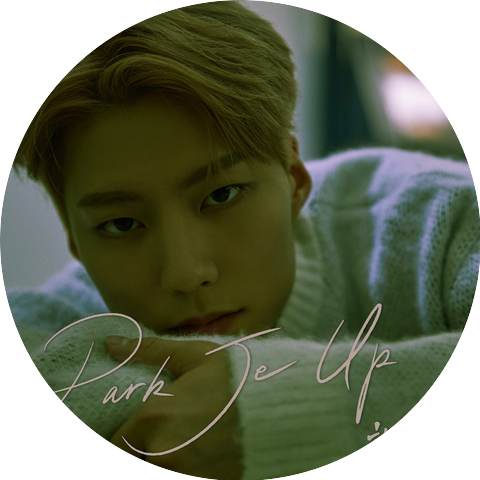 Park Je Up