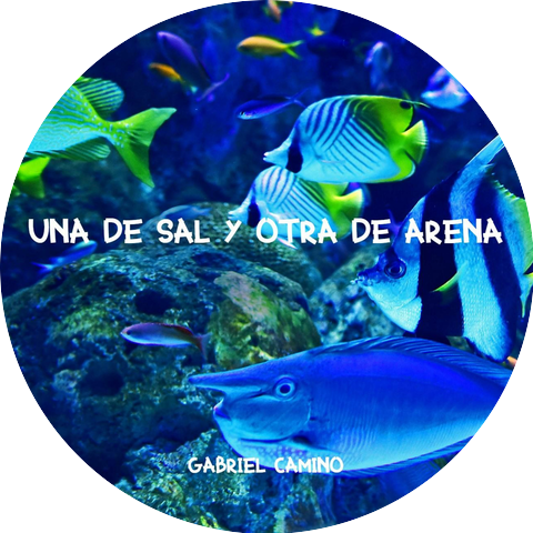 Gabriel Camino